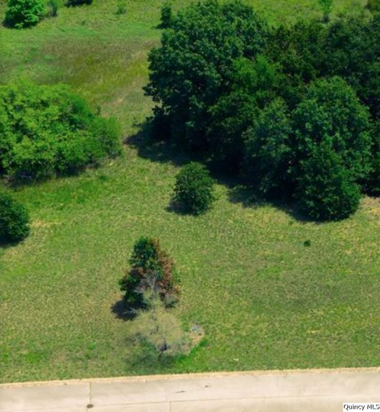 a view of backyard with green space