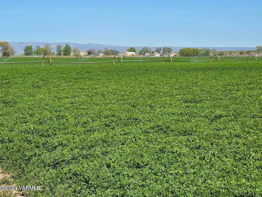 a view of a green field with lots of green space