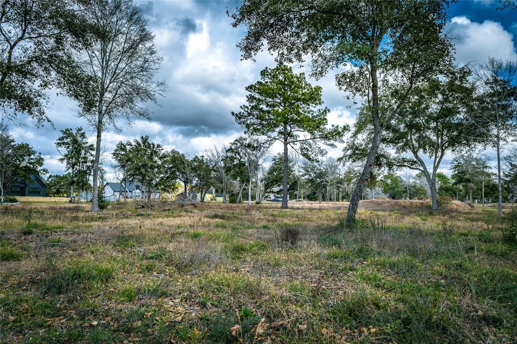 a view of a big yard with large trees