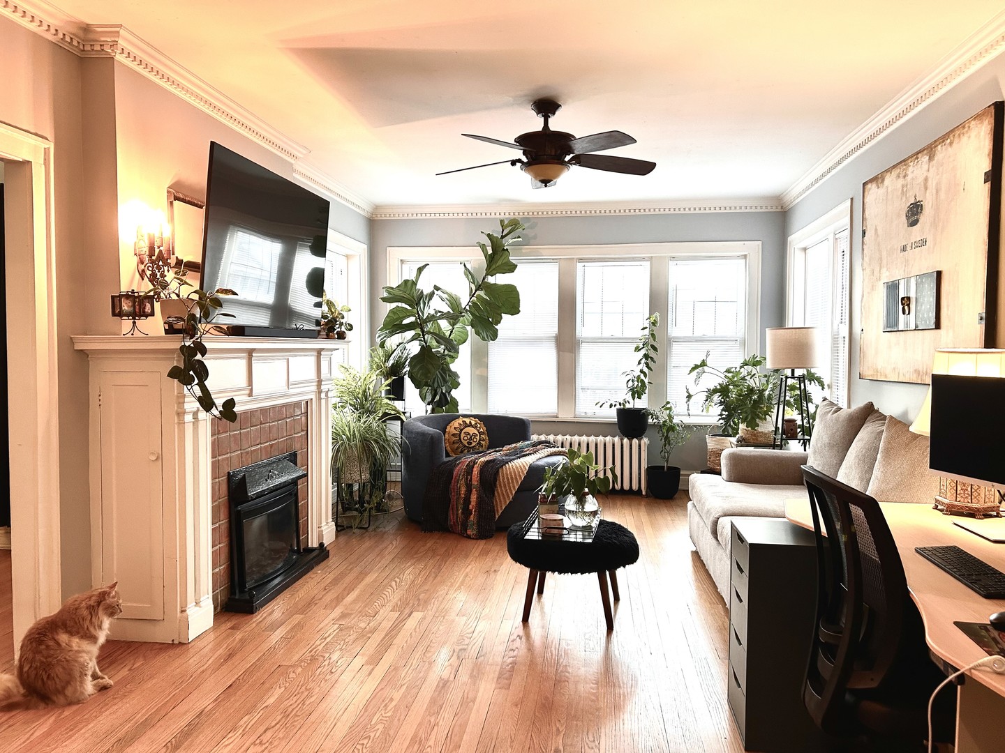 a living room with furniture a fireplace and a flat screen tv