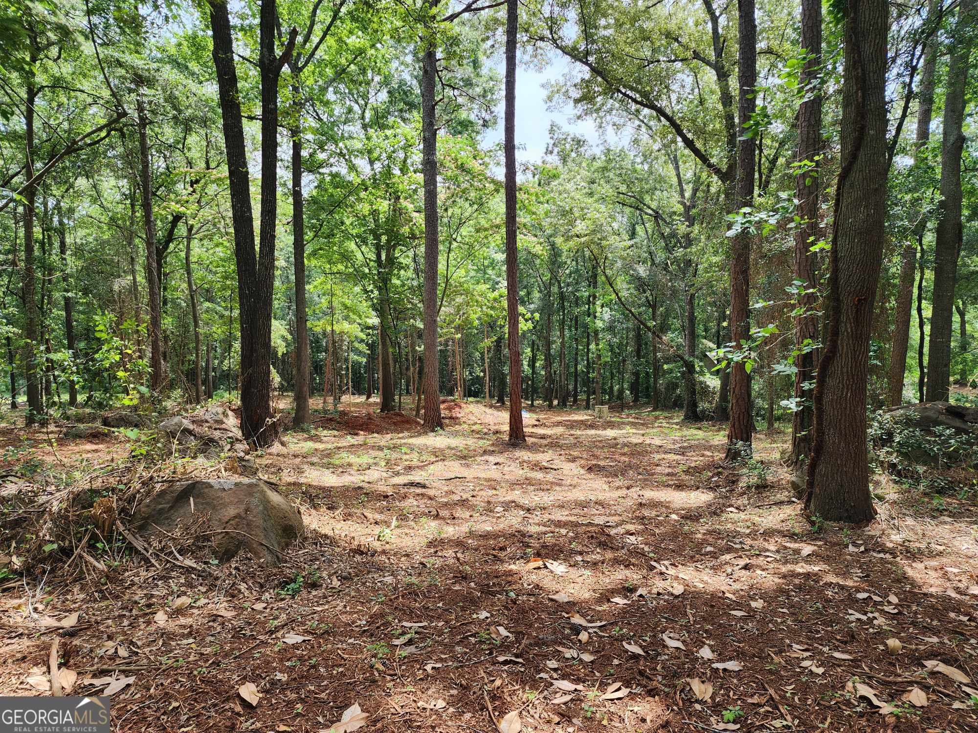 a view of outdoor space with trees