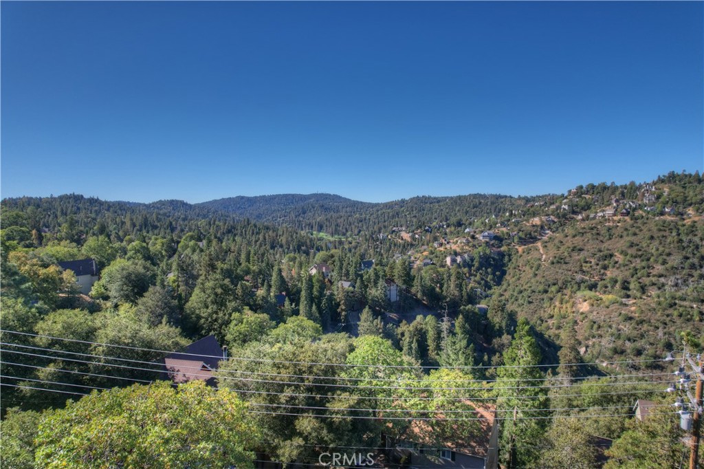 a view of a forest with mountains in the background