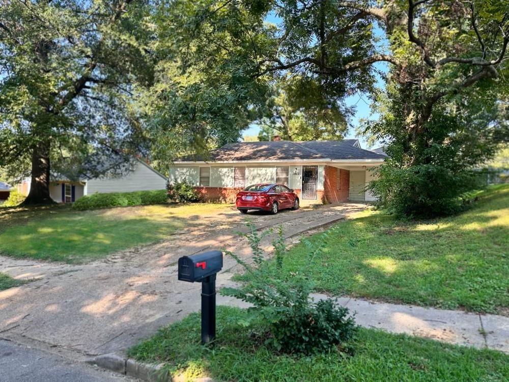 a front view of a house with a yard and a tree