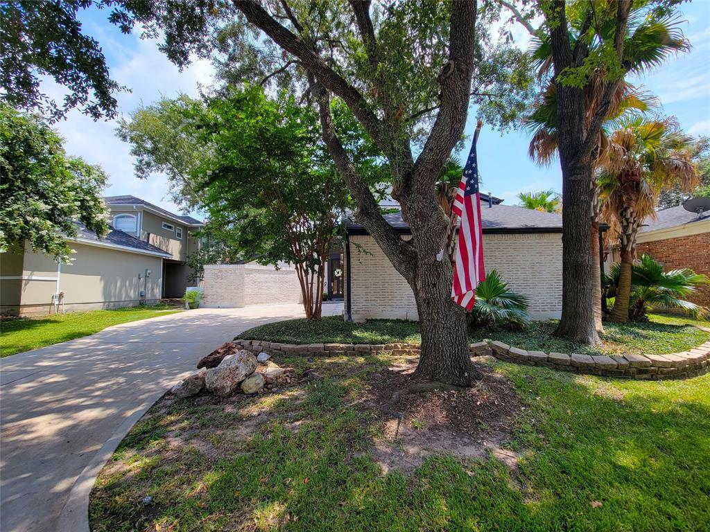 a view of a yard with plants and a large tree