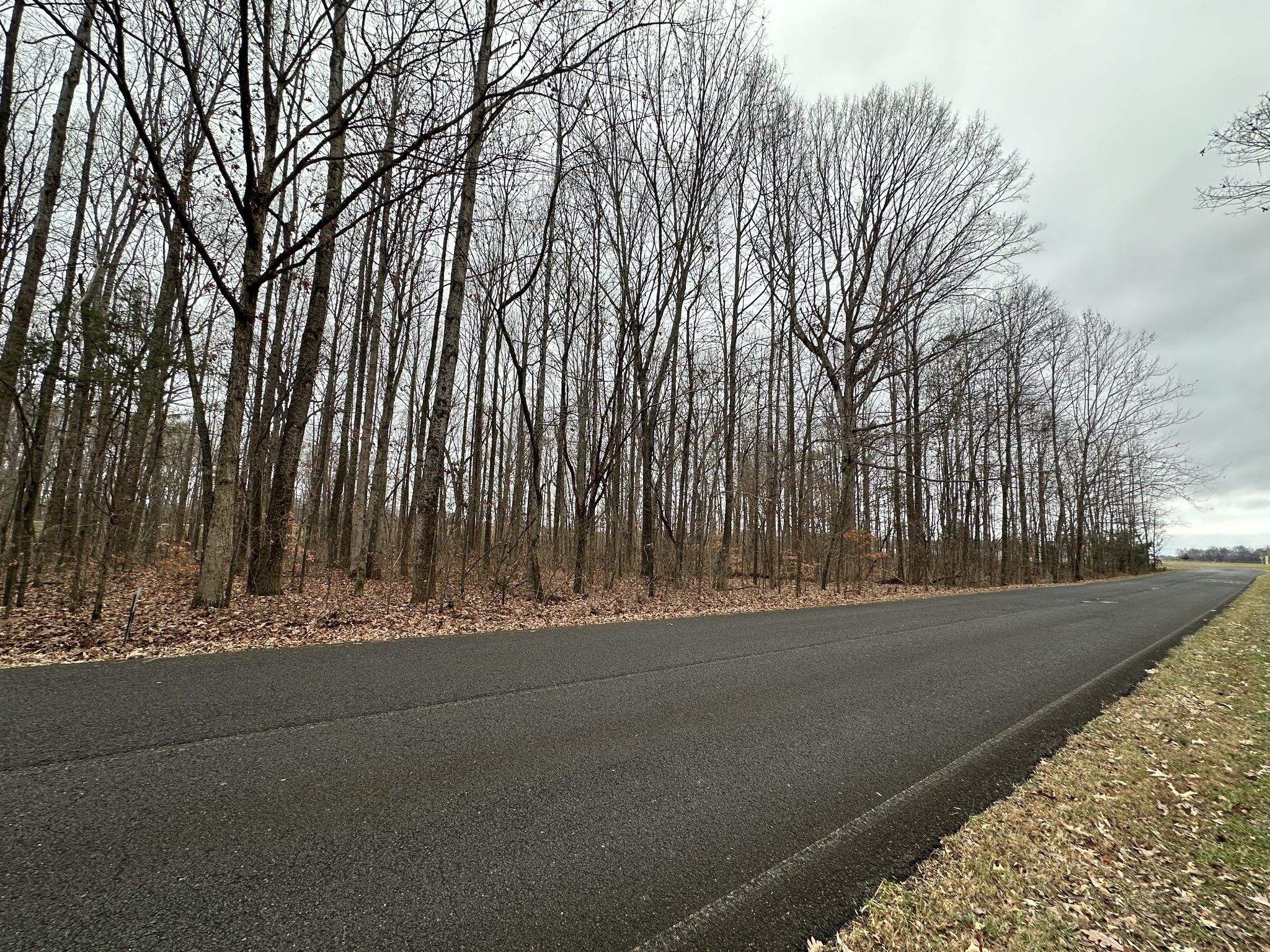 a view of road with trees