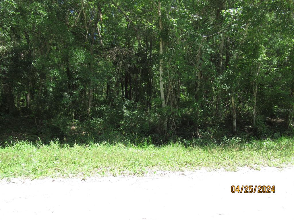 a view of backyard with green space