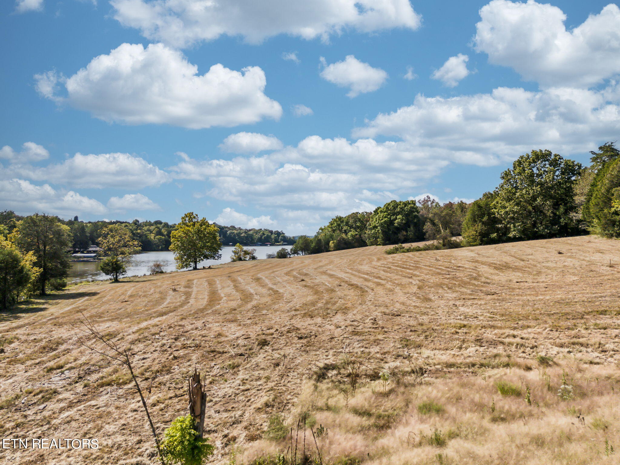 Lakefront Pasture