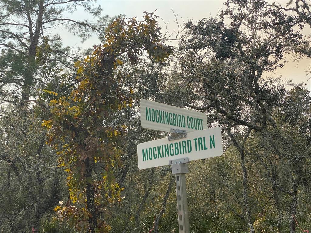 a street sign sitting on a pole