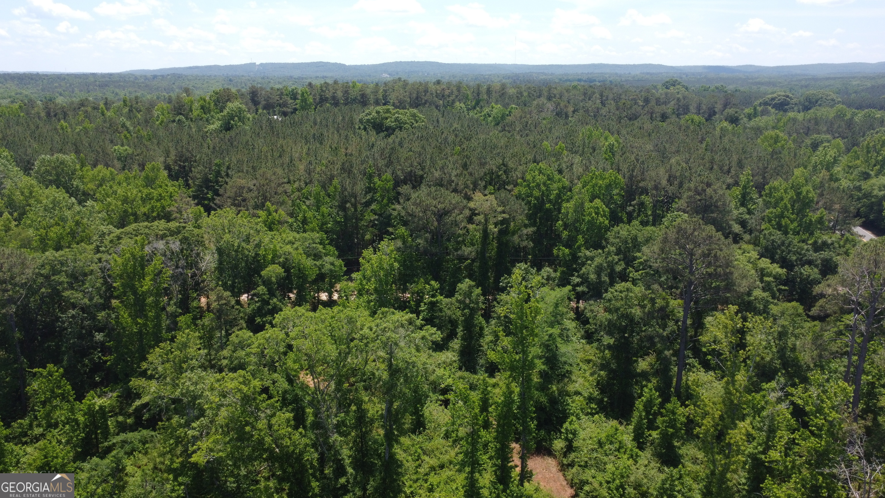 a view of a lush green forest with trees and some houses