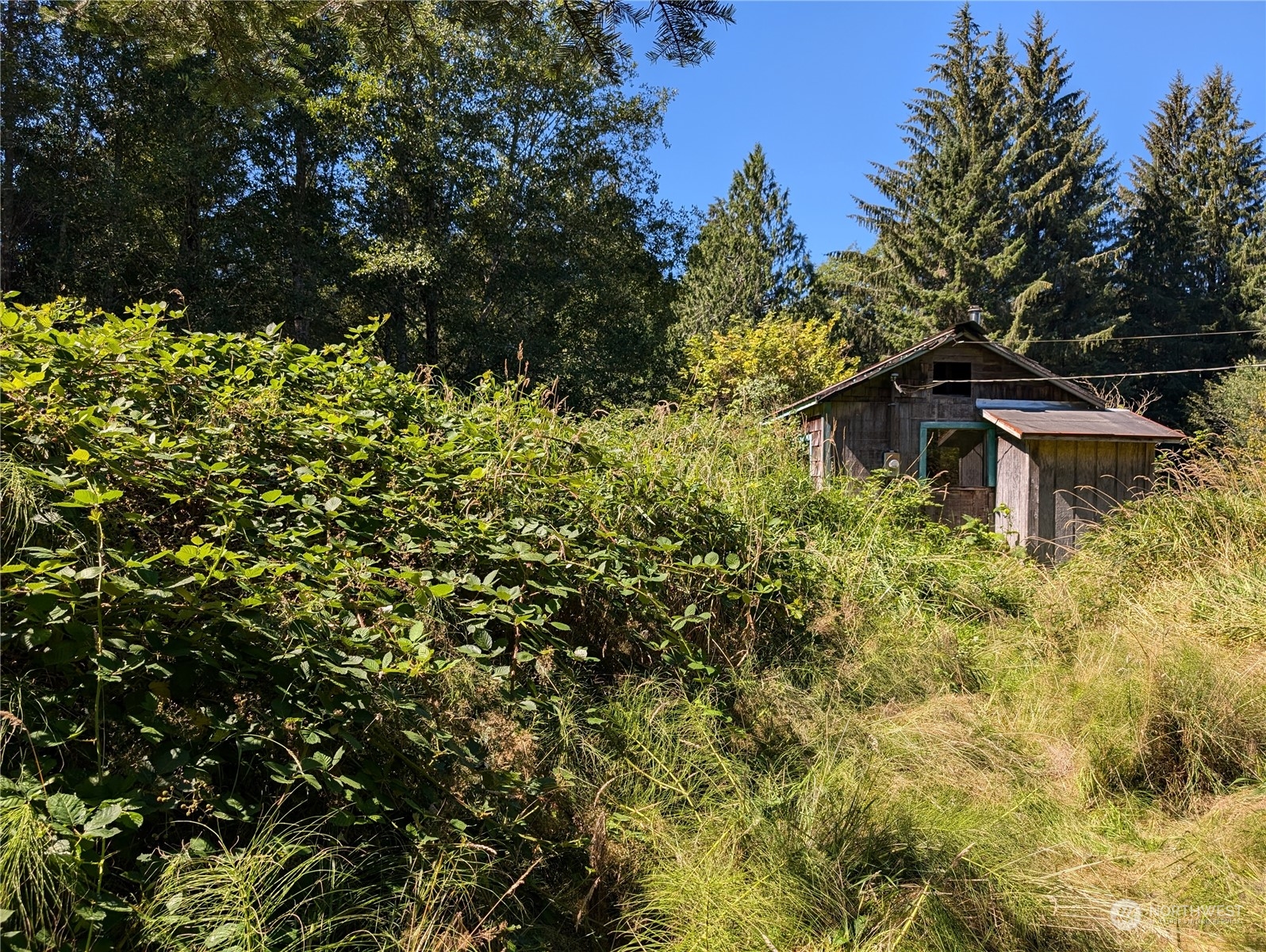 a backyard of a house with lots of green space