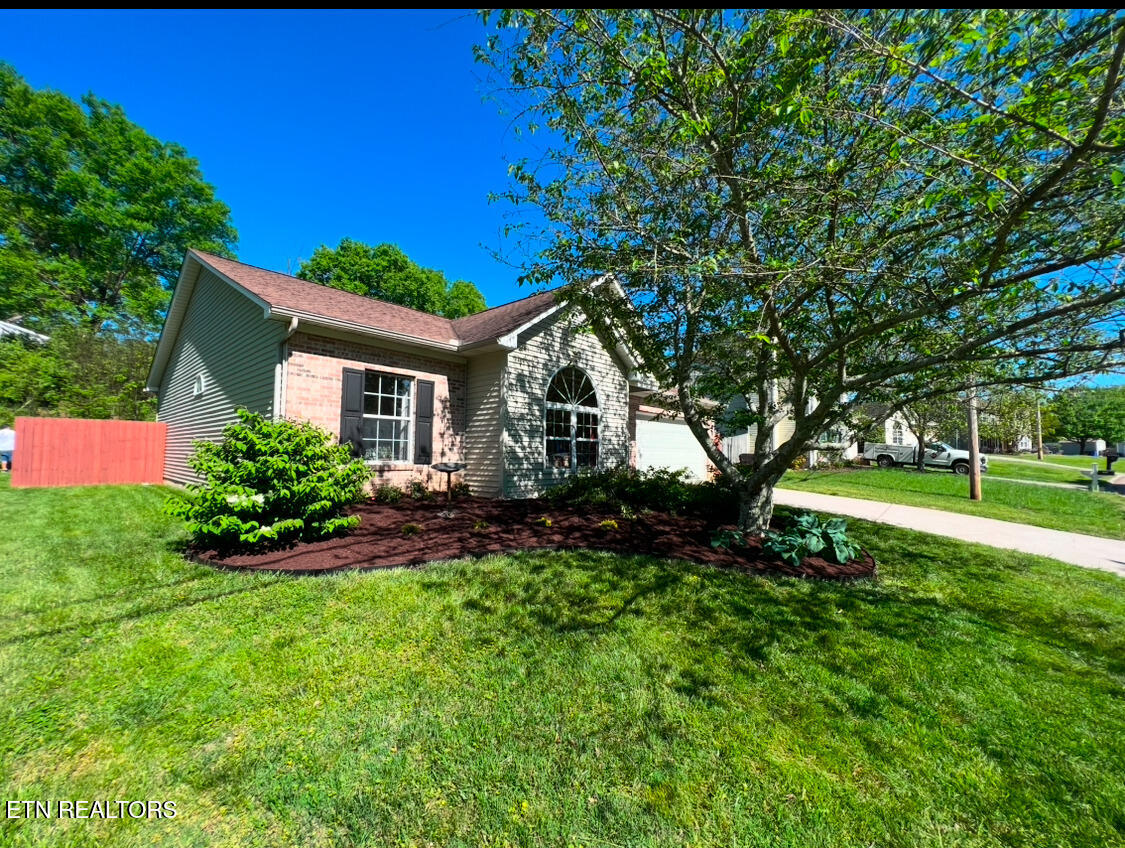 Landscaped Front Yard