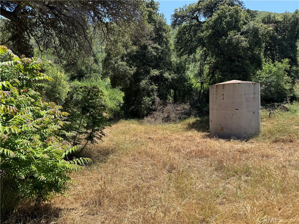 a view of a backyard with large trees