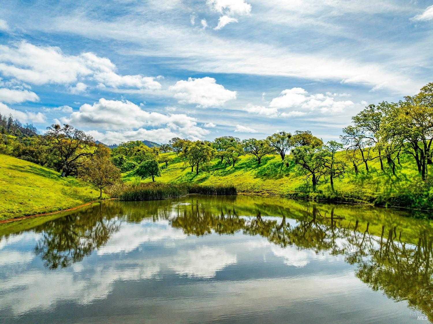 a view of a lake with a big yard