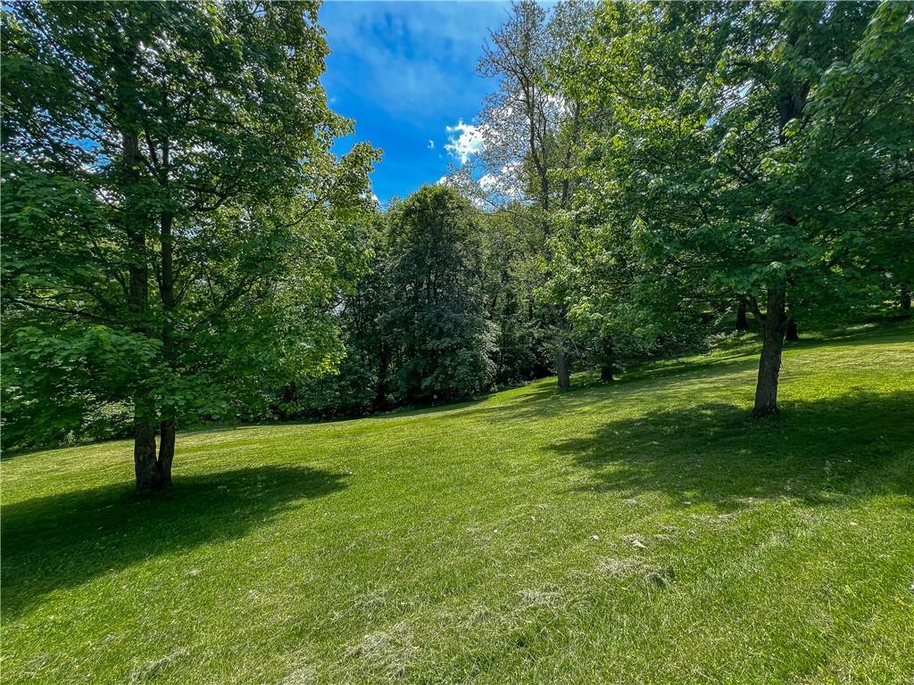 a view of green field with trees