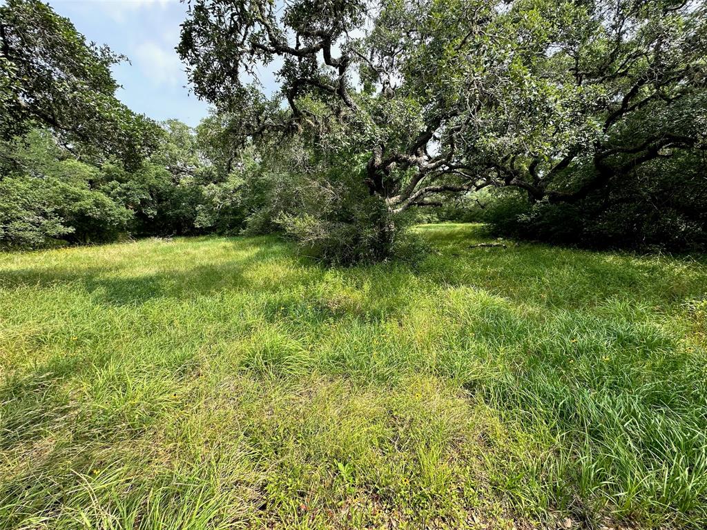 a view of yard with green space