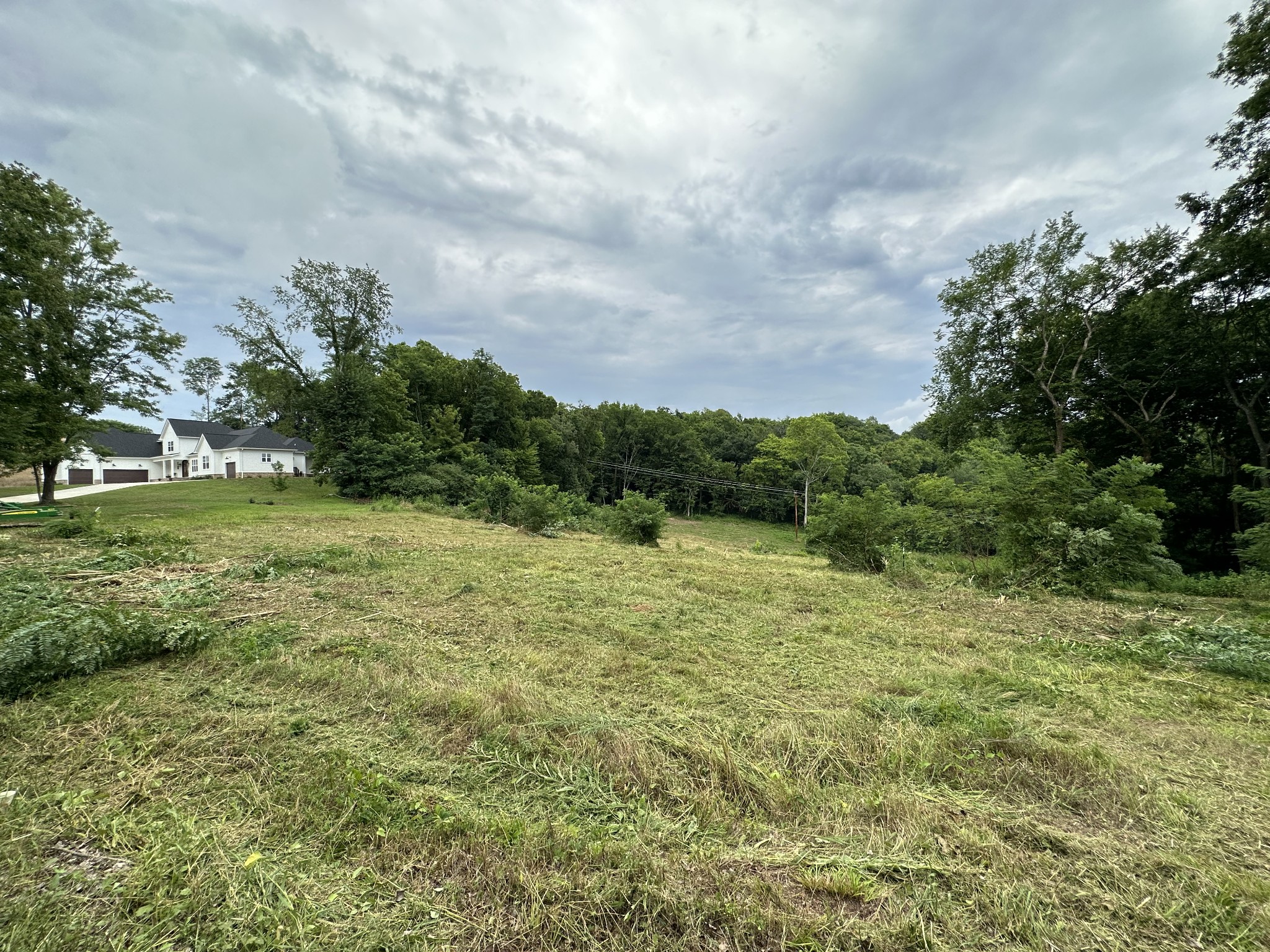 a view of a field with an trees