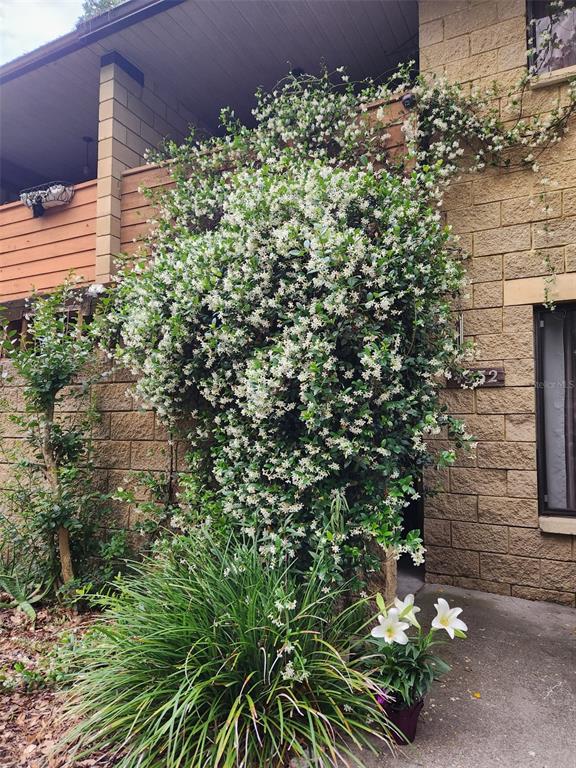 a plant that is in front of a house