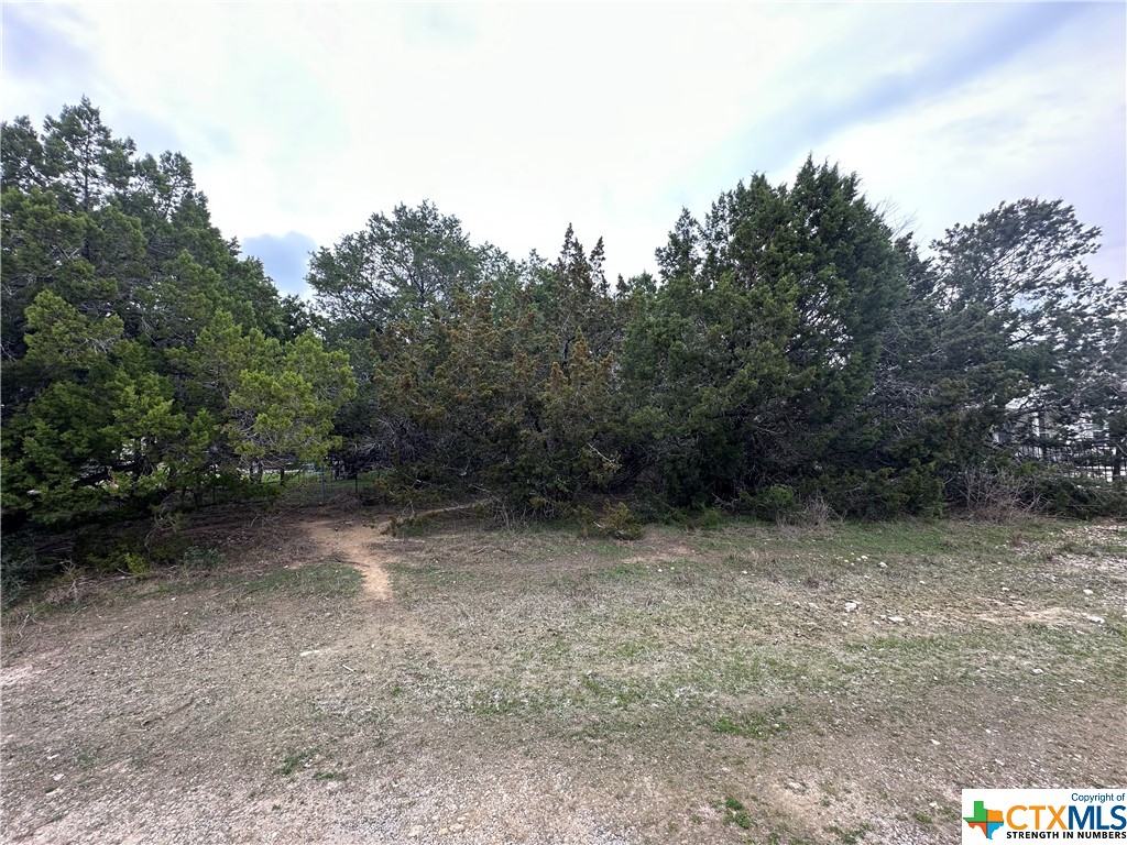 a view of a covered with trees in the background