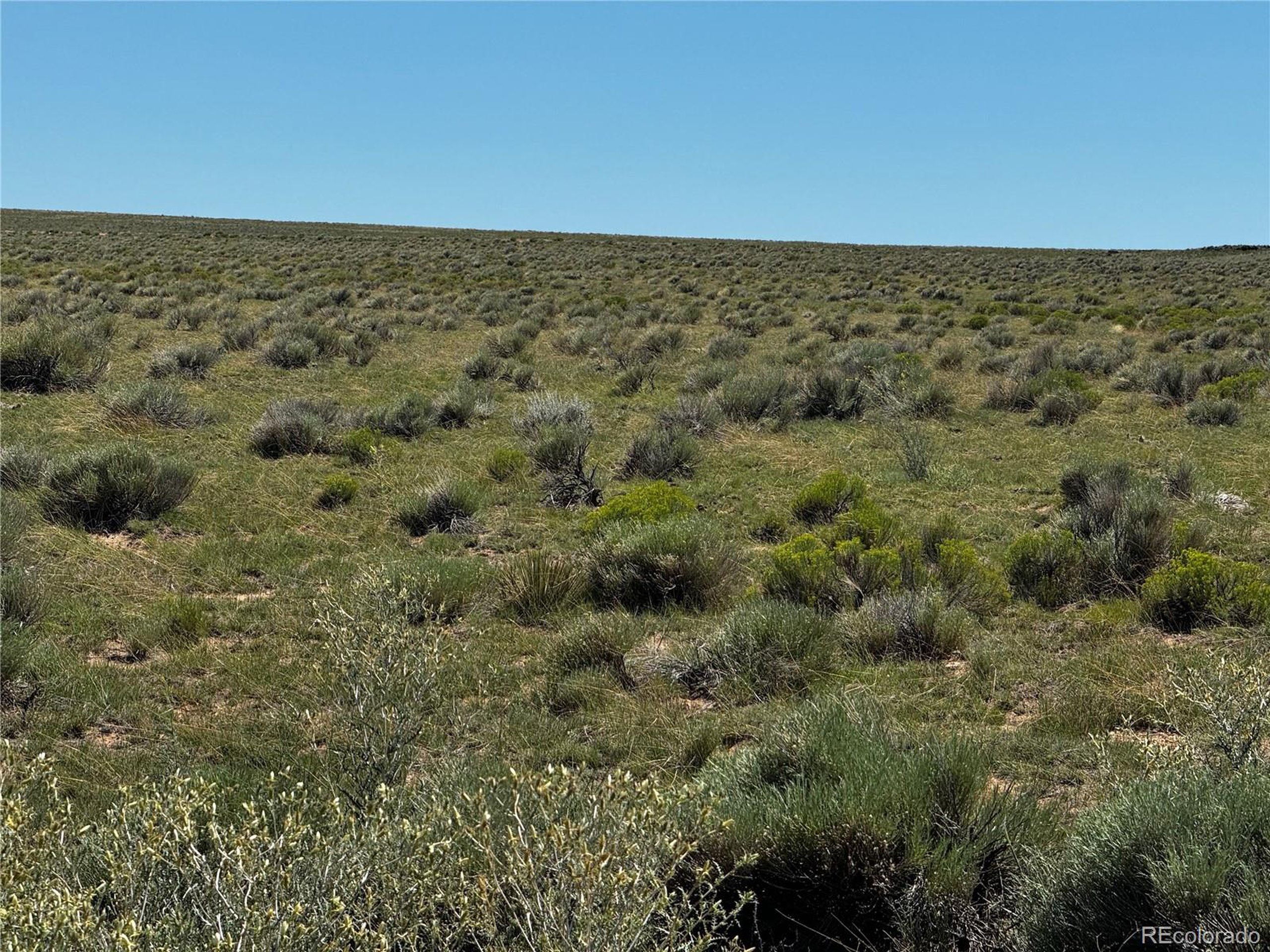 a view of a field with an ocean