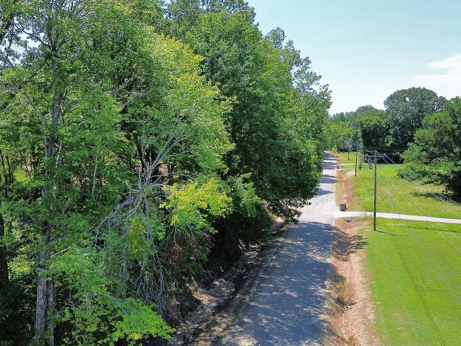 a view of a park with a large trees