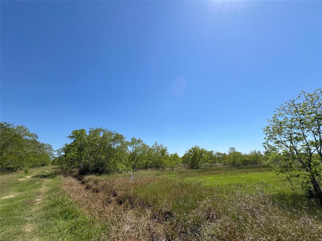 a view of a field of grass and trees