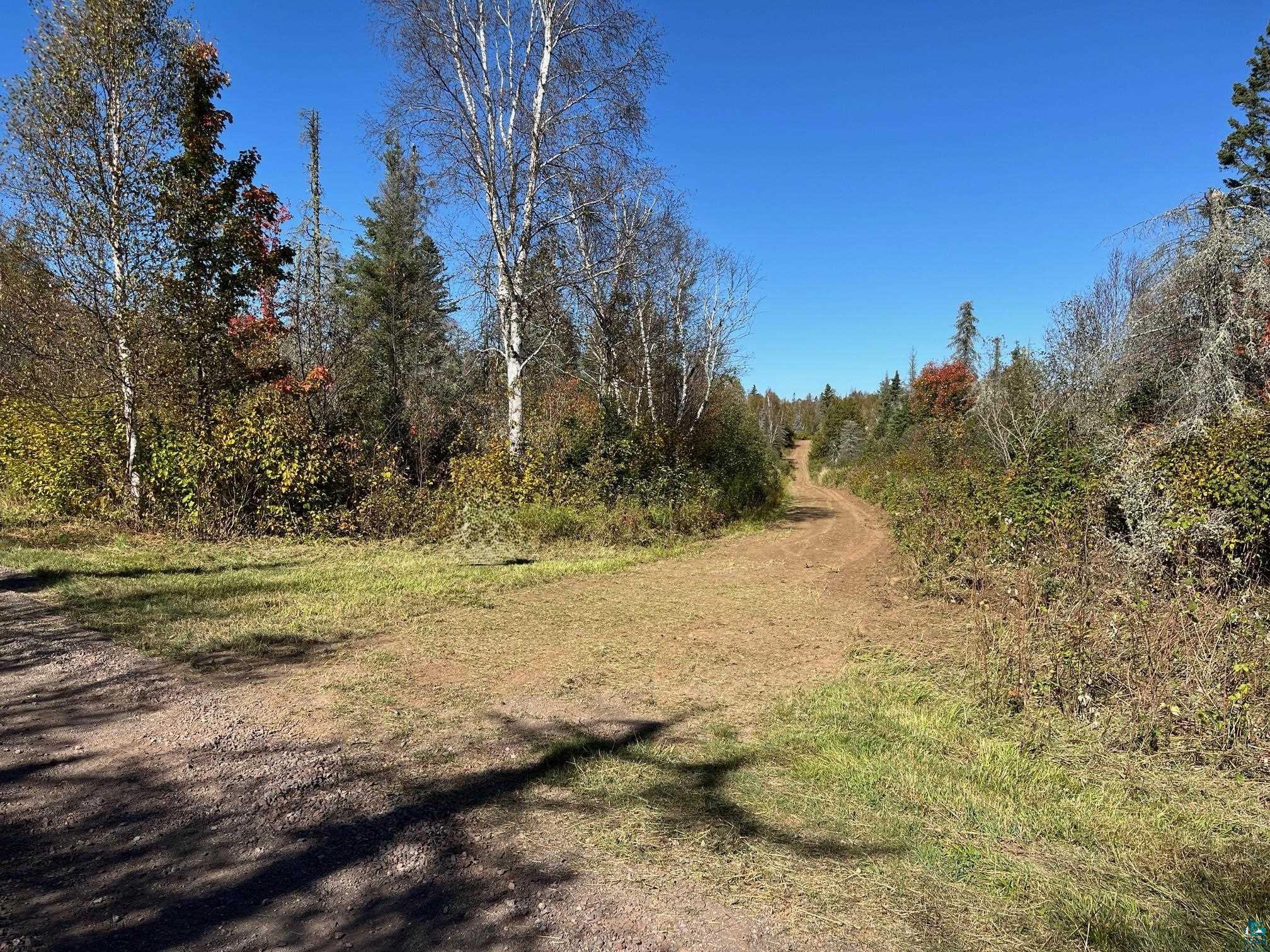 View of local wilderness