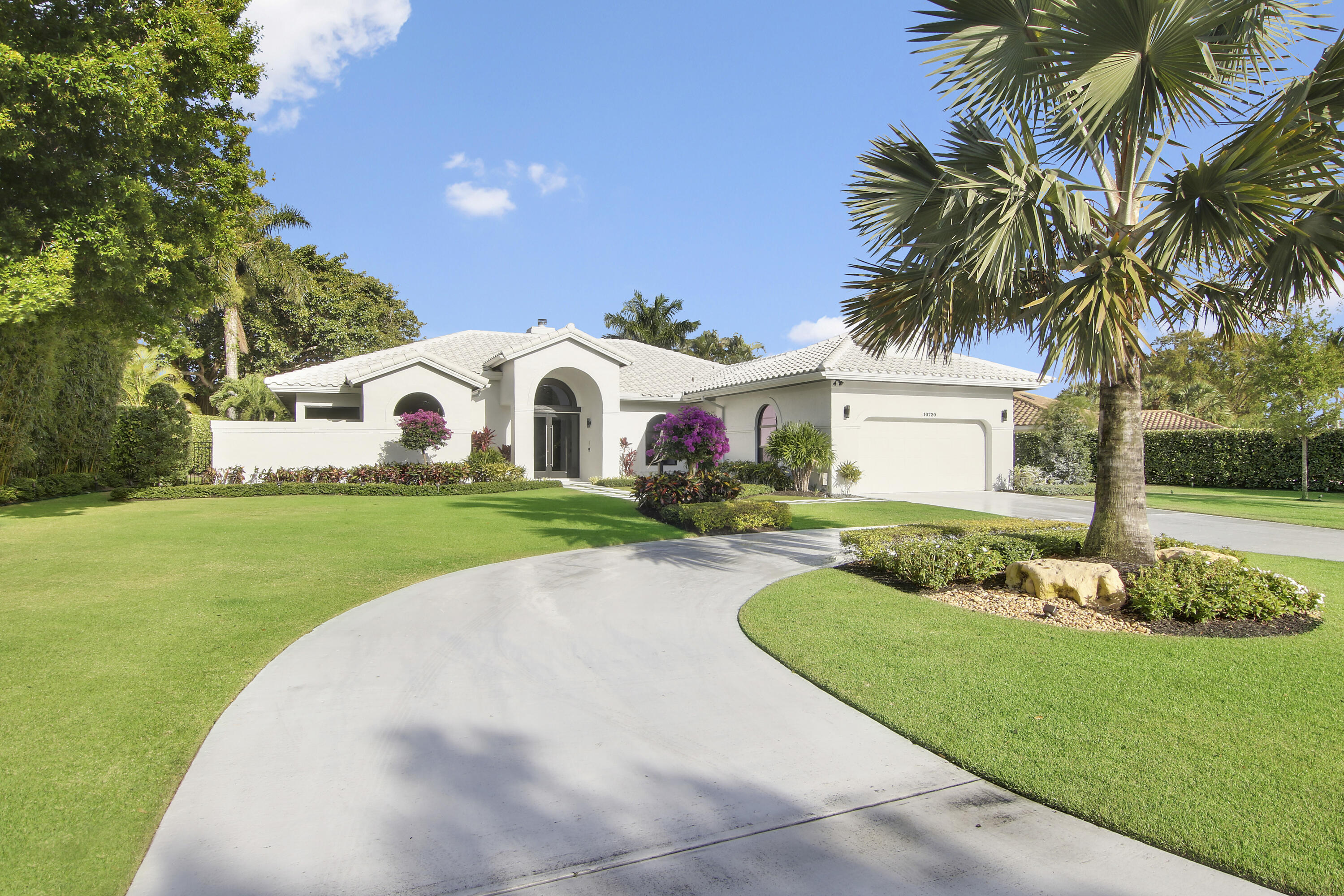 a view of a white house with a yard plants and palm trees