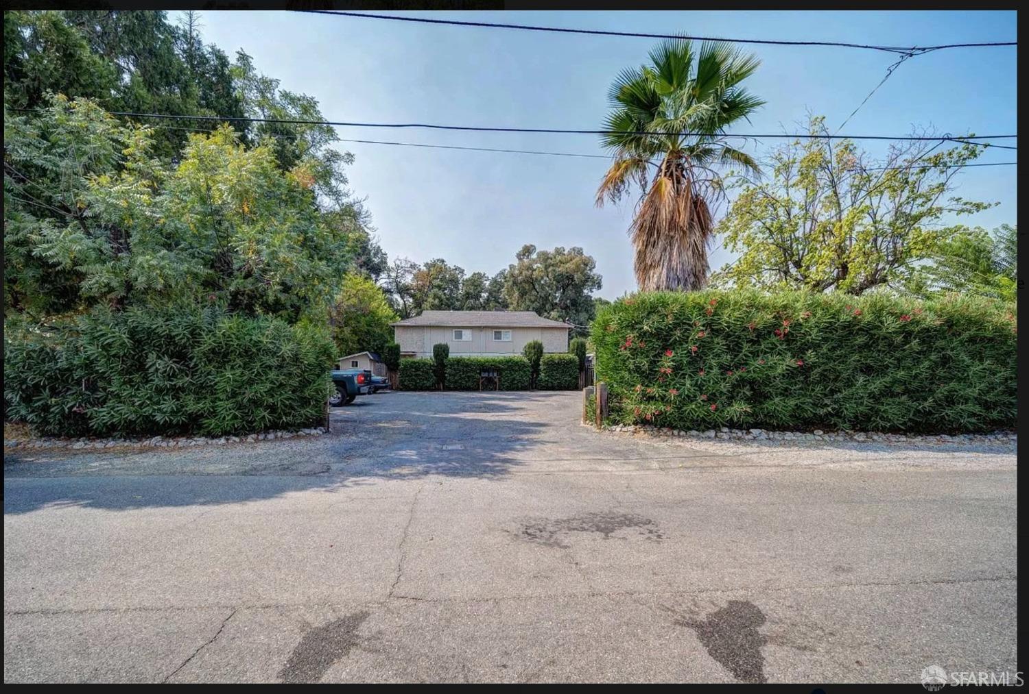 a view of a yard with potted plants