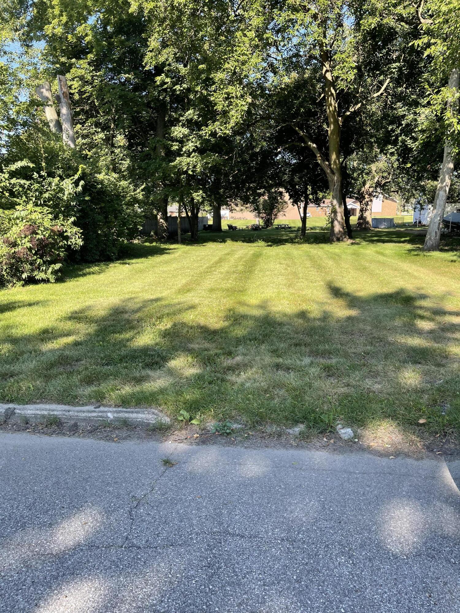 a view of a large yard with large trees