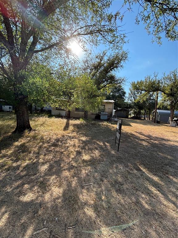 a view of a yard with a tree