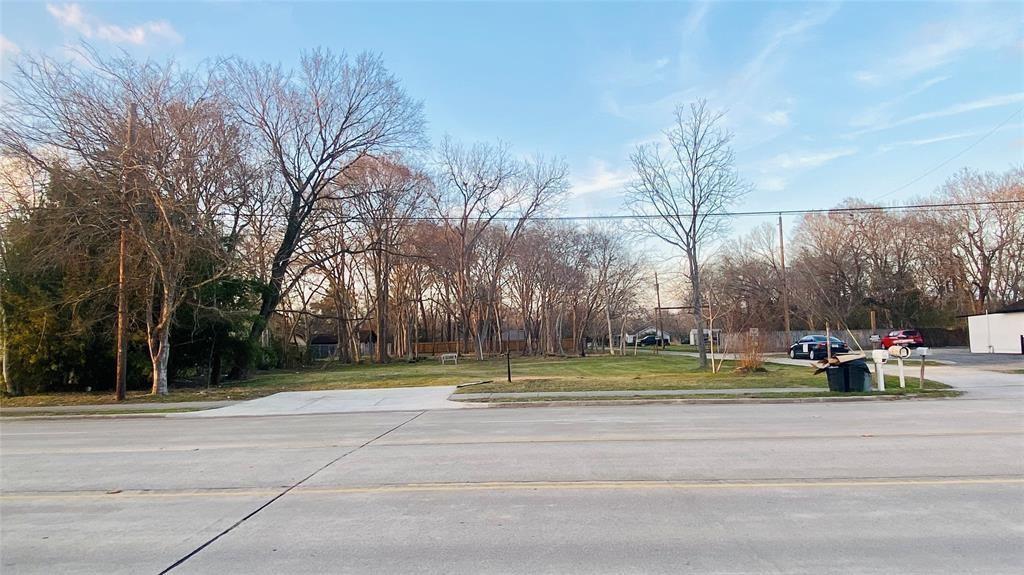 a view of a park with large trees