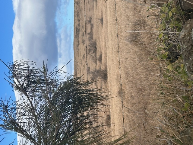 a view of beach and yard