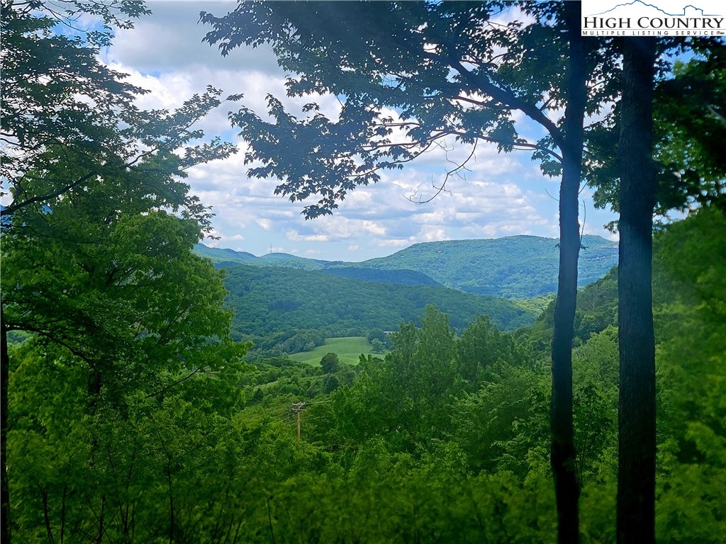 a view of a mountain in the forest