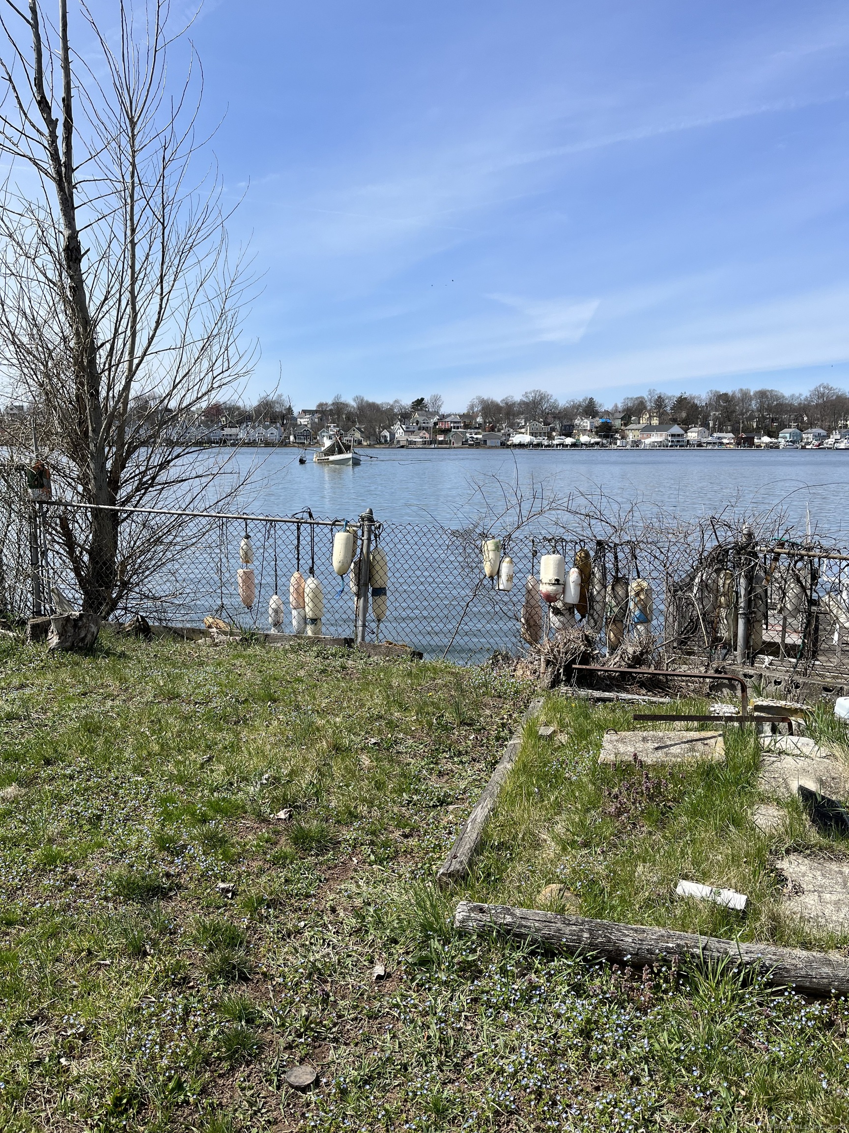 a view of a lake with houses in the back