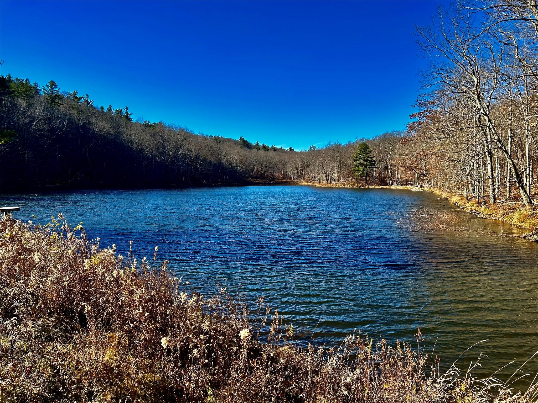 a view of a lake