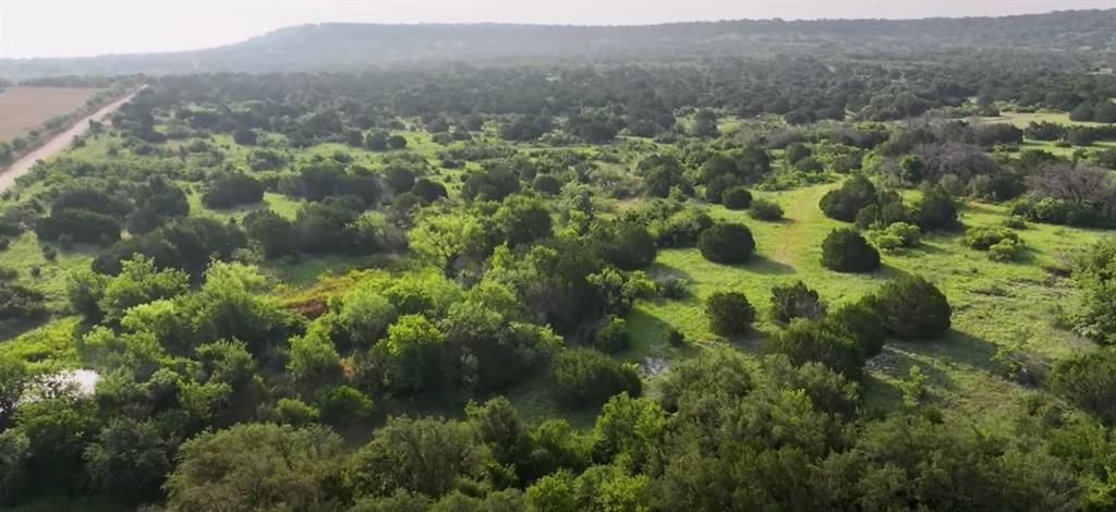 an aerial view of forest