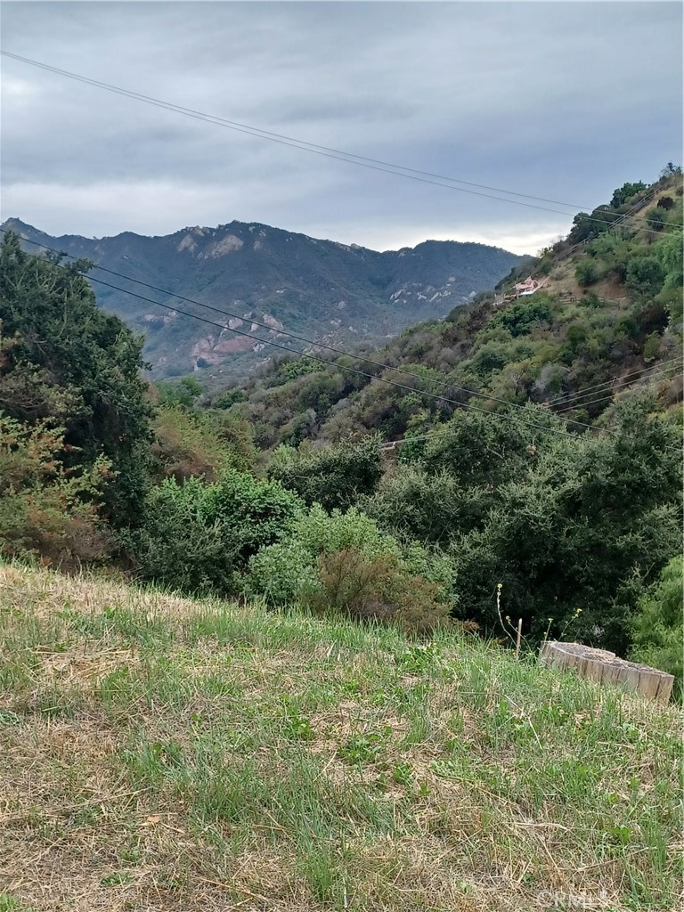 a view of a lush green hillside and a houses