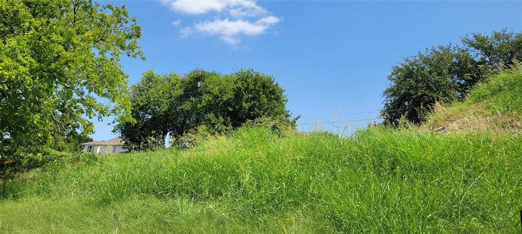 a view of a lush green space