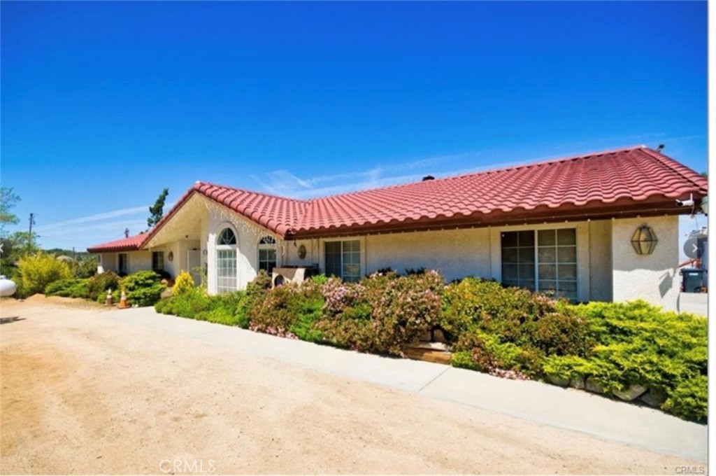 a view of a house with a yard and potted plants