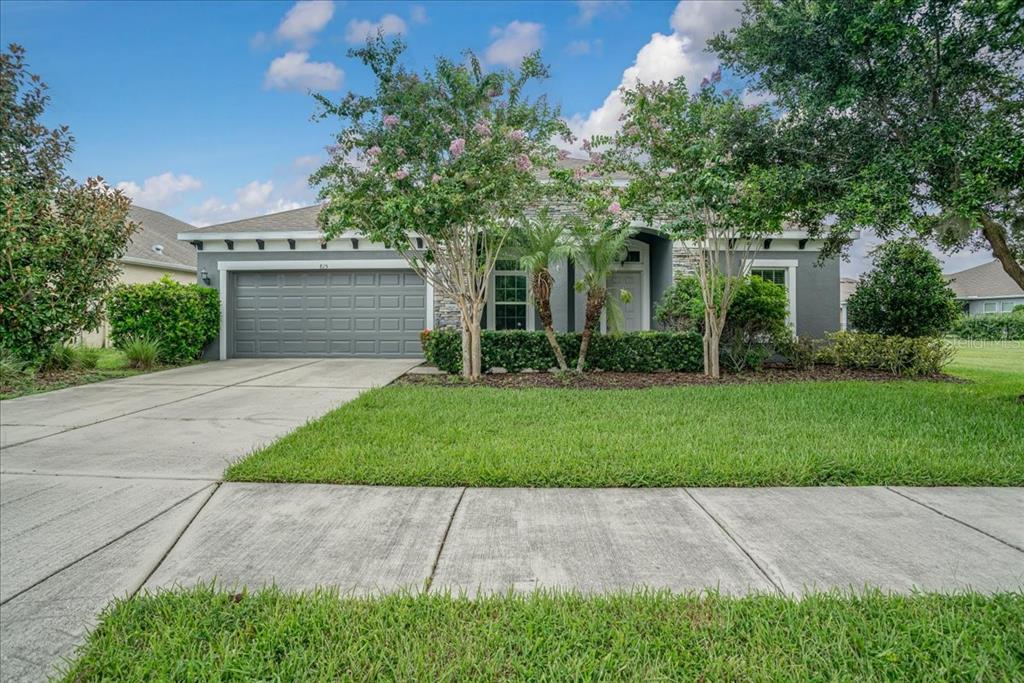 a front view of house with yard and green space