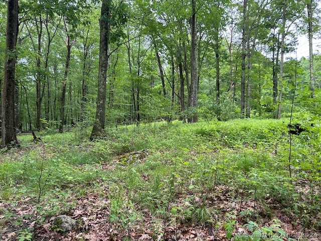 a view of outdoor space and green space