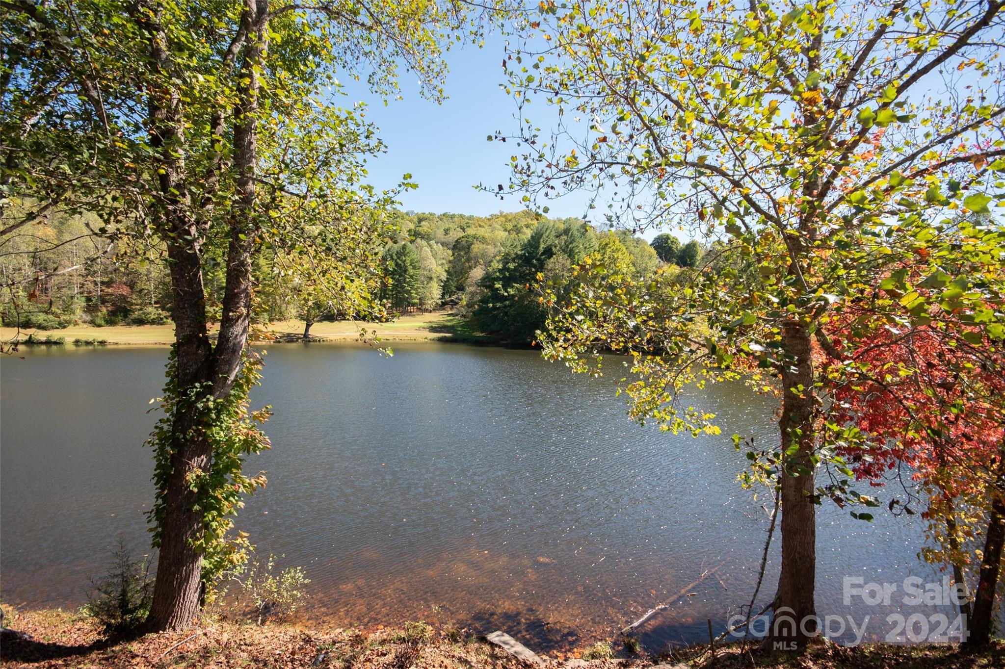 a view of lake view