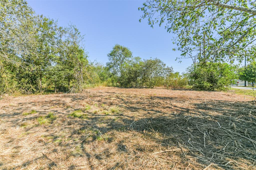 This is a vacant lot featuring natural vegetation, some mature trees, and utility poles, suggesting potential for development with access to services.