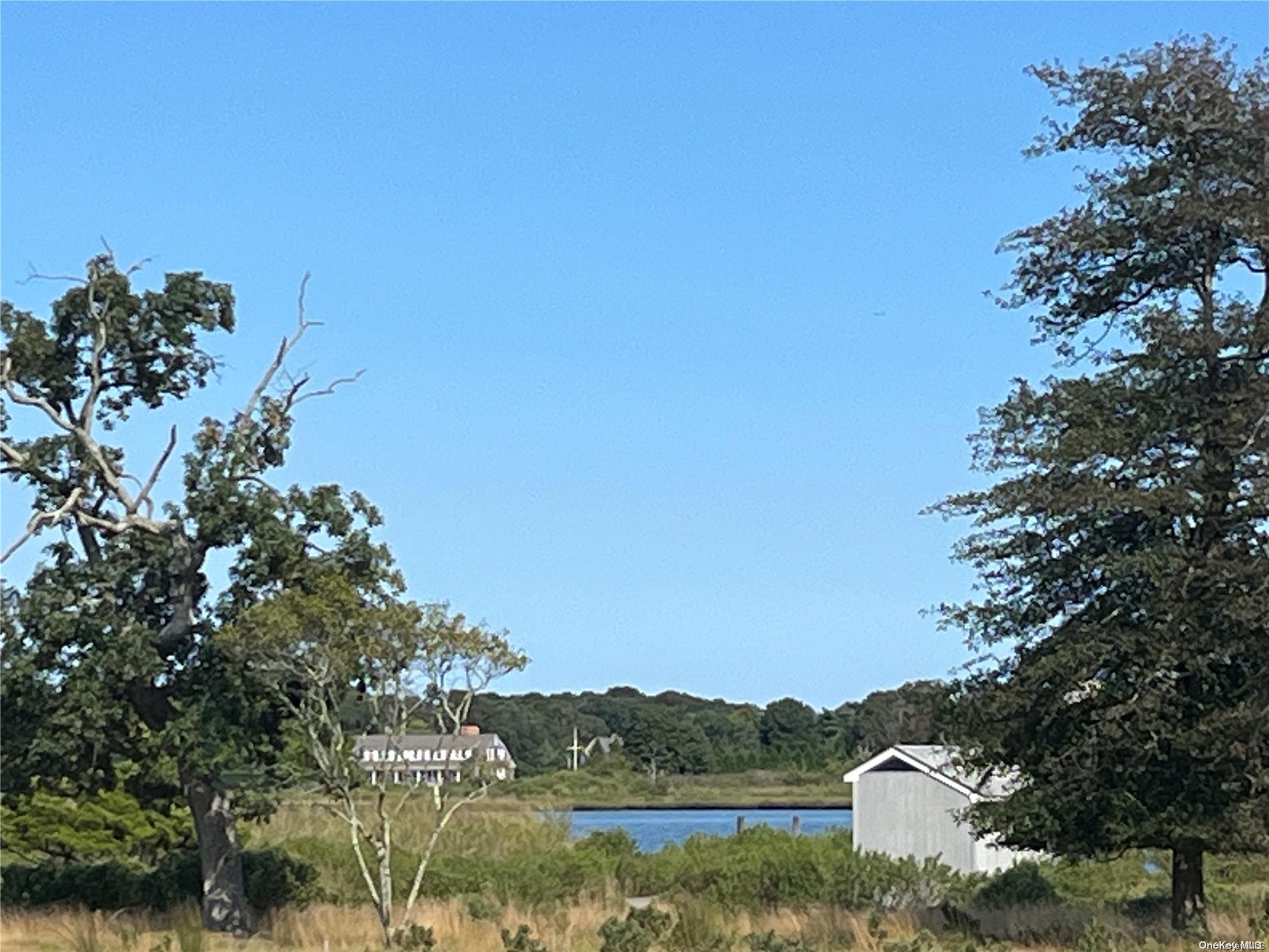 a view of a lake with a mountain in the background