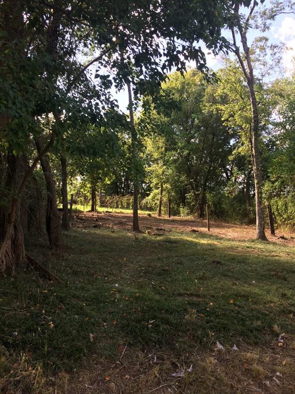 a view of dirt yard with green space