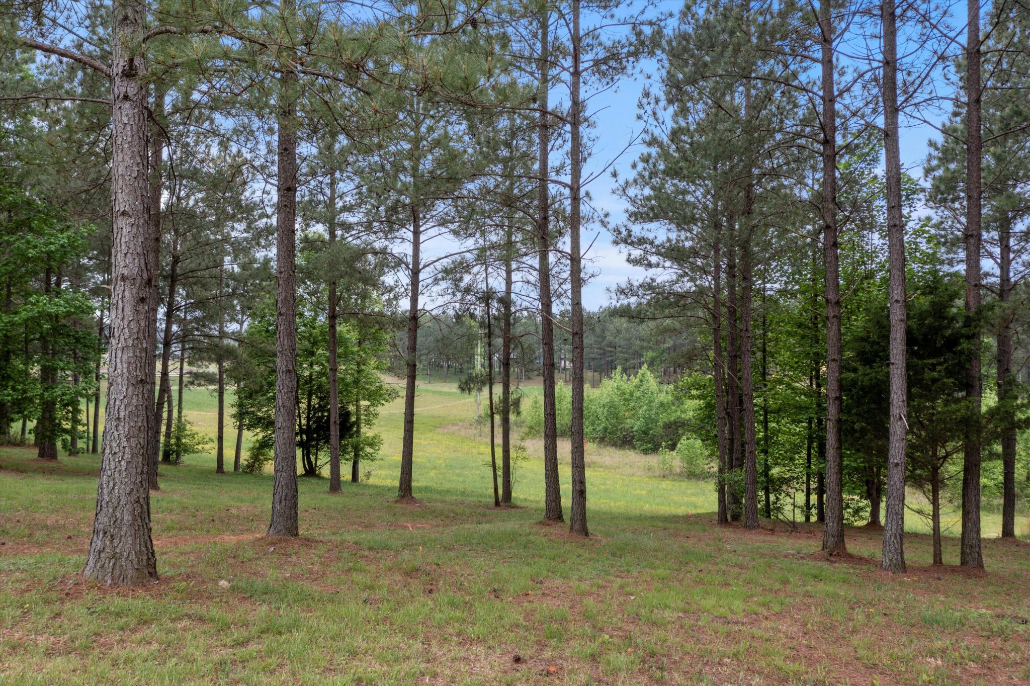 a view of outdoor space with trees