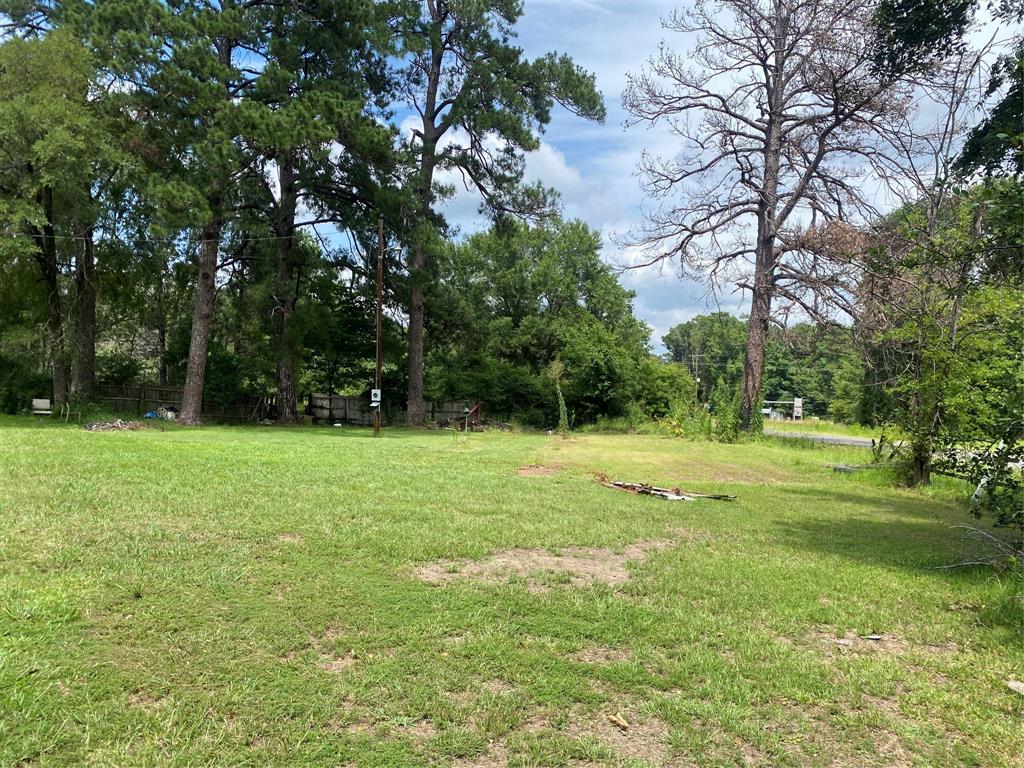 a view of outdoor space with trees all around