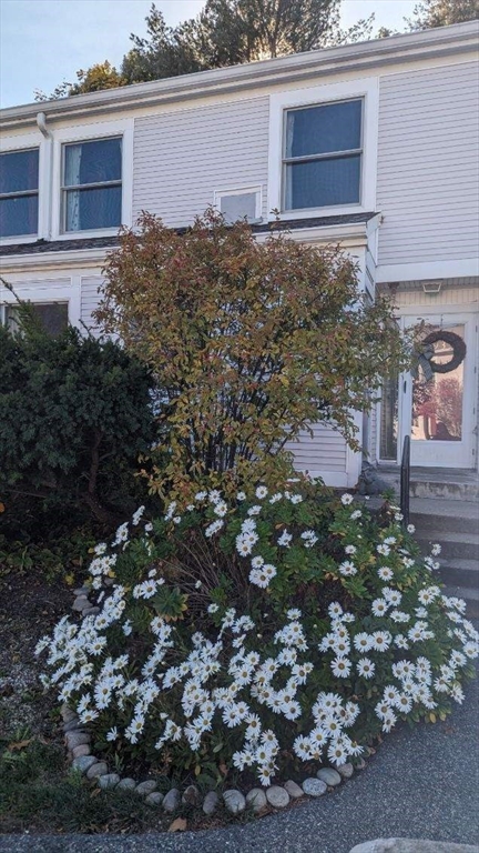 a backyard of a house with lots of plants and tree