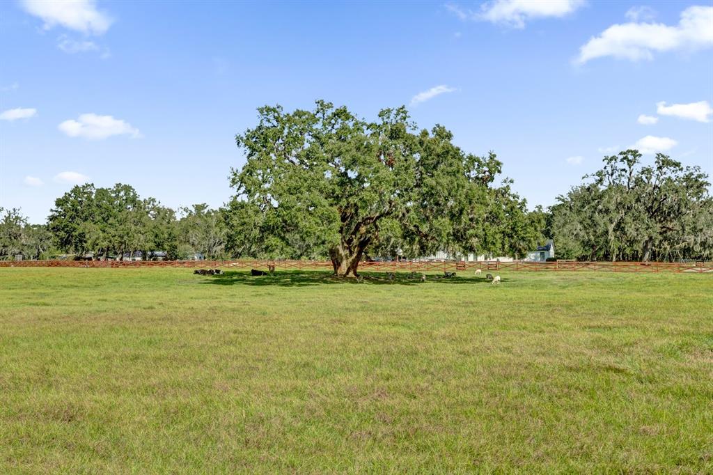 a view of outdoor space and yard