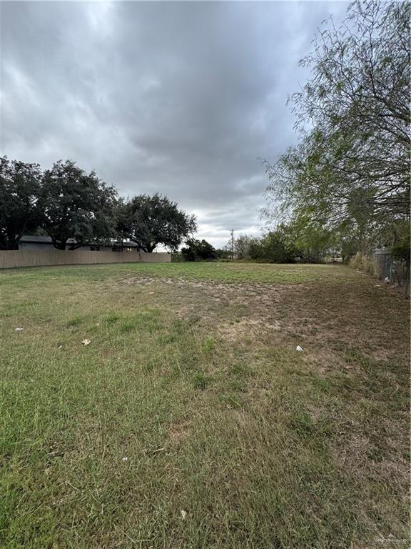 a view of a field with trees in background